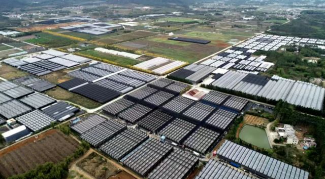 观察打造第一年花翁源的底气与雄心(图1)