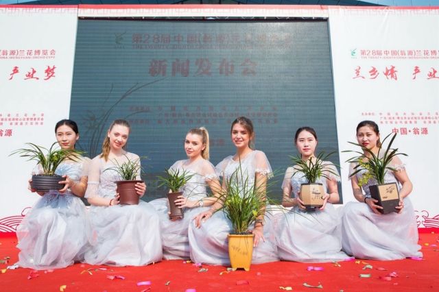 观察打造第一年花翁源的底气与雄心(图4)