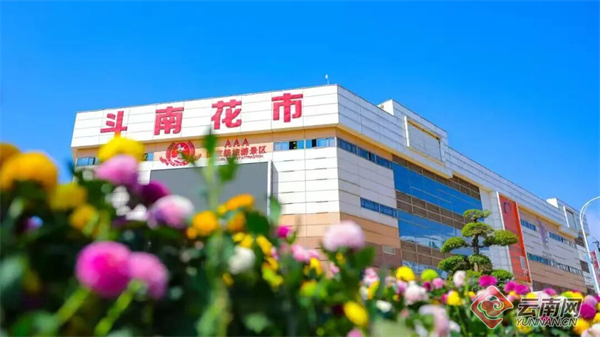 昆明呈贡“繁花路”：一朵花的产业进阶与幸福承诺(图1)