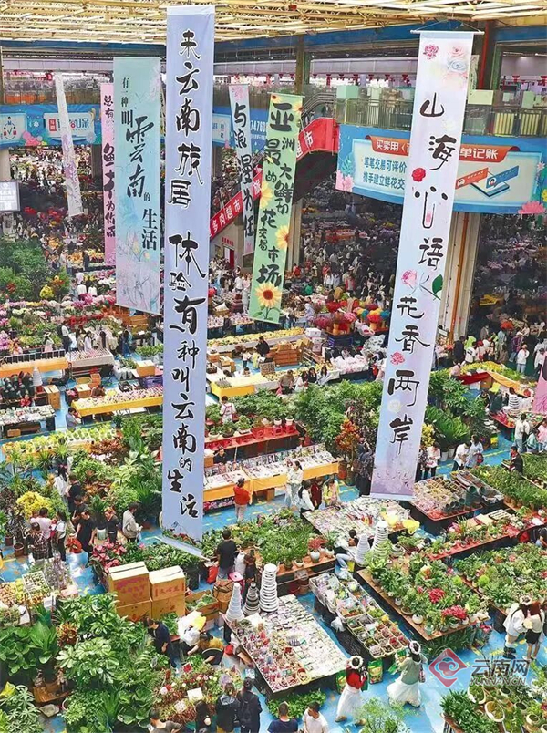 昆明呈贡“繁花路”：一朵花的产业进阶与幸福承诺(图10)