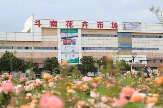昆明呈贡区四大支柱协同聚势产业创新引领发展(图2)