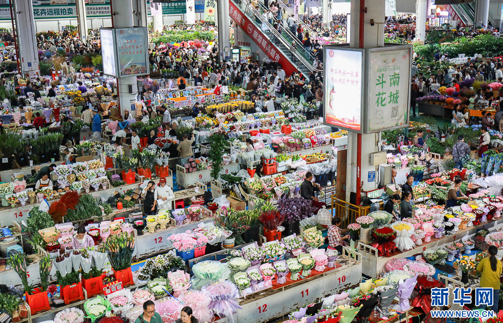 青年科学家李帆：破译“基因密码”让花卉换上“中国芯”_新华网(图1)