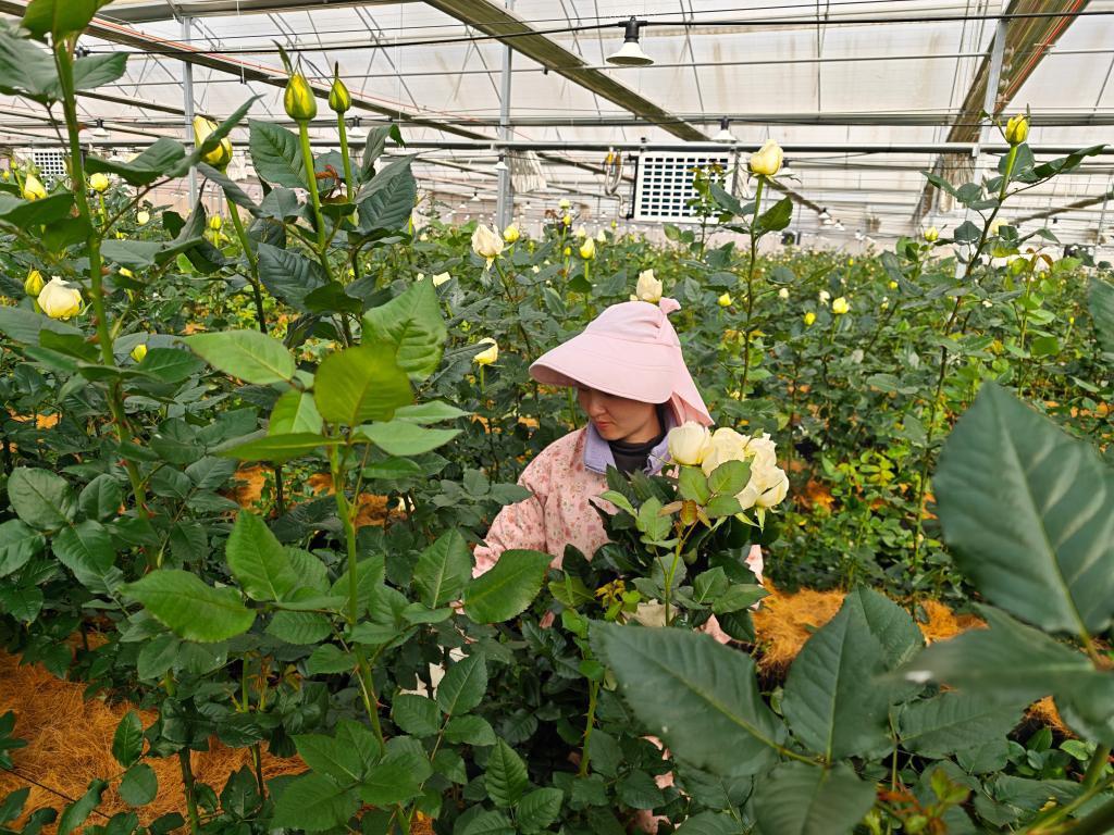 新年启新程——2026年第一天的劳动者剪影(图2)