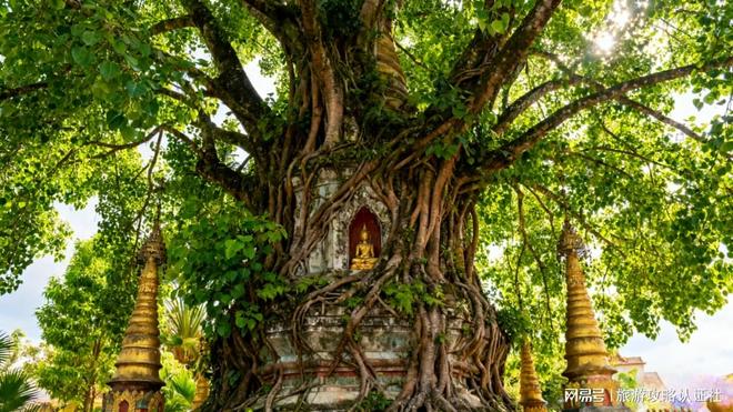 百色出发云南团费揭秘双城游超值攻略这价格竟包往返机票(图2)