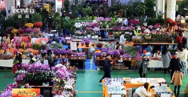 丨从昆明到漠河解码一束“云花”背后的保鲜密码(图4)