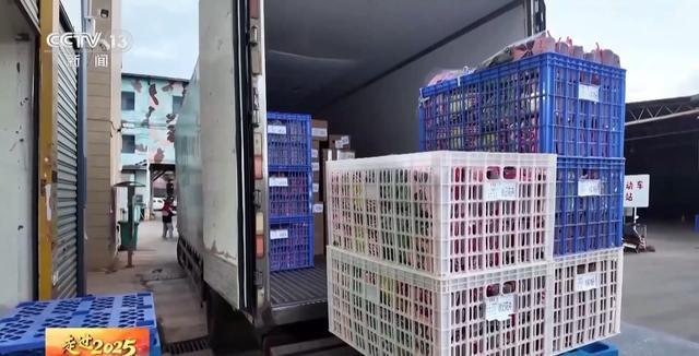 丨从昆明到漠河解码一束“云花”背后的保鲜密码(图2)