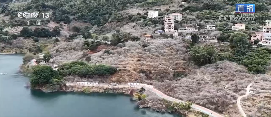 小寒节气寒极迎春到喜得梅花扑鼻香(图6)