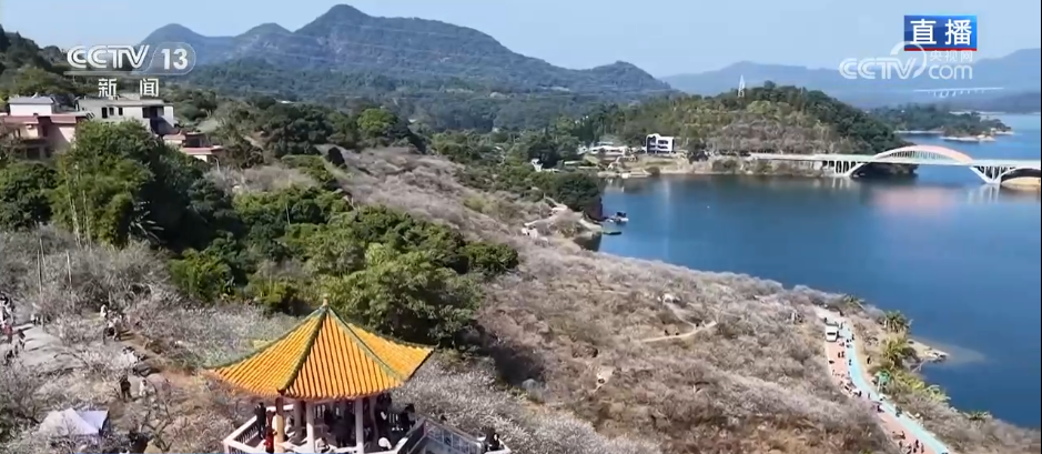 小寒节气寒极迎春到喜得梅花扑鼻香(图5)