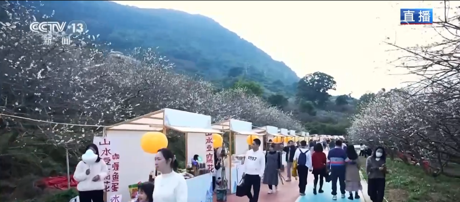 小寒节气寒极迎春到喜得梅花扑鼻香(图10)