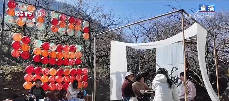 小寒节气寒极迎春到喜得梅花扑鼻香(图8)
