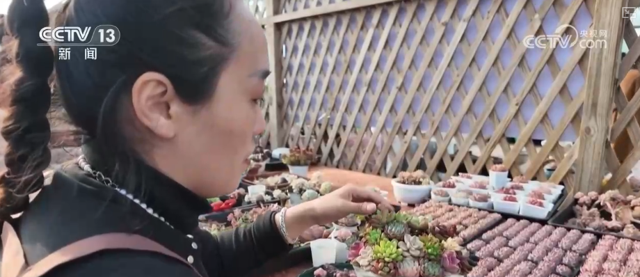 “创新搭配+定制服务”催生鲜花经济“新”消费花样“抢手货”俏销假日市场(图4)