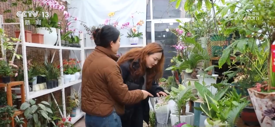 “创新搭配+定制服务”催生鲜花经济“新”消费花样“抢手货”俏销假日市场(图8)