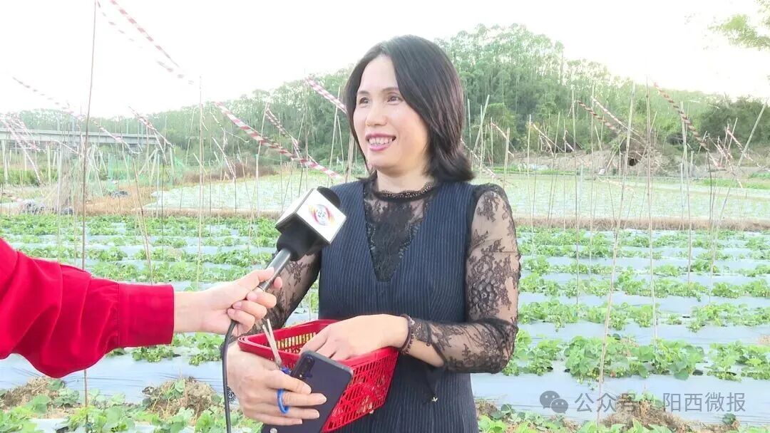 【“百千万工程”】织篢镇牛岭村：撂荒地变“幸福园”农文旅融合绘就乡村振兴新画卷(图1)