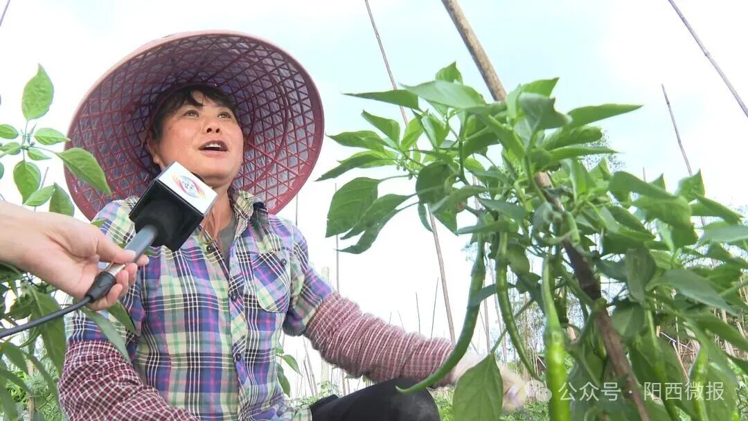 【“百千万工程”】织篢镇牛岭村：撂荒地变“幸福园”农文旅融合绘就乡村振兴新画卷(图5)