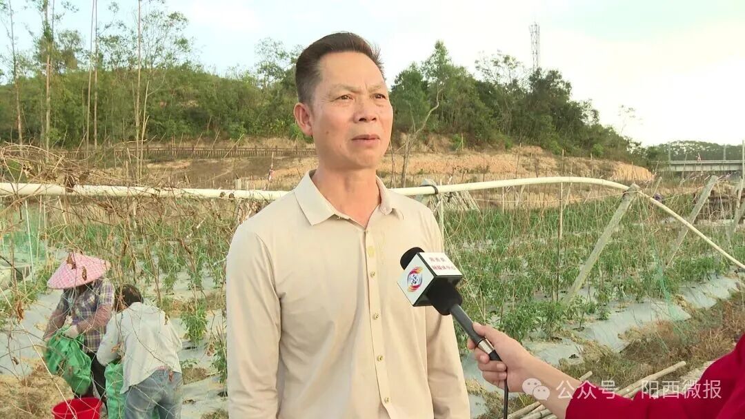 【“百千万工程”】织篢镇牛岭村：撂荒地变“幸福园”农文旅融合绘就乡村振兴新画卷(图4)