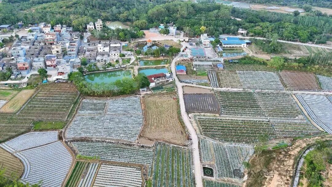 【“百千万工程”】织篢镇牛岭村：撂荒地变“幸福园”农文旅融合绘就乡村振兴新画卷(图6)