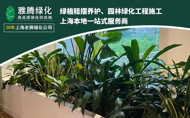 2025年度绿植租摆服务商Top榜单与解析(图3)