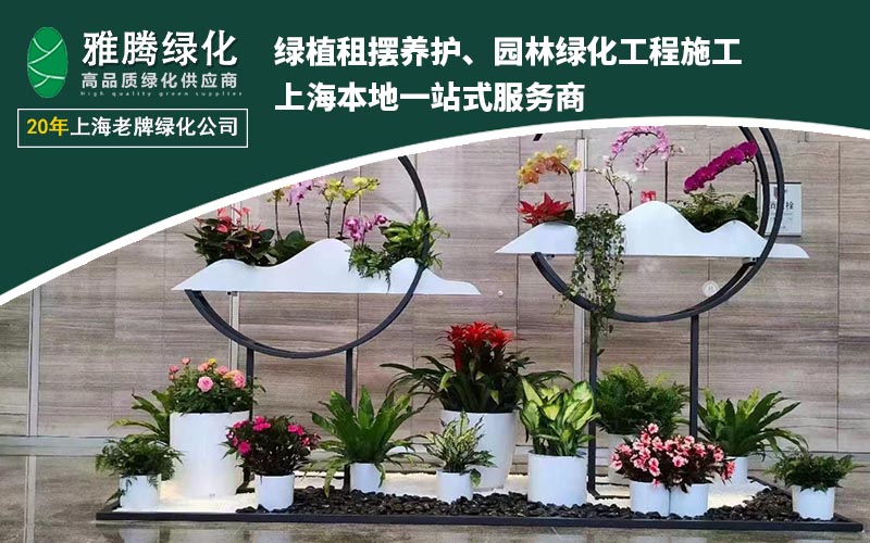 2025年度绿植租摆服务商Top榜单与解析(图2)