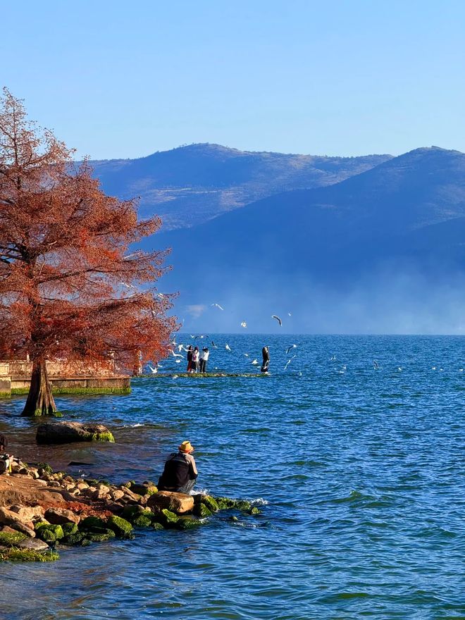 云南六日亲子游跟团费用是多少？丽江6日具体行程看这篇全知晓(图2)