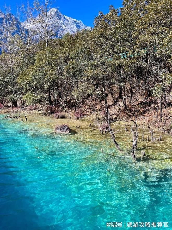 云南当地优质旅游团怎么找？报团去昆明大理6天5晚人均费用清单？(图1)