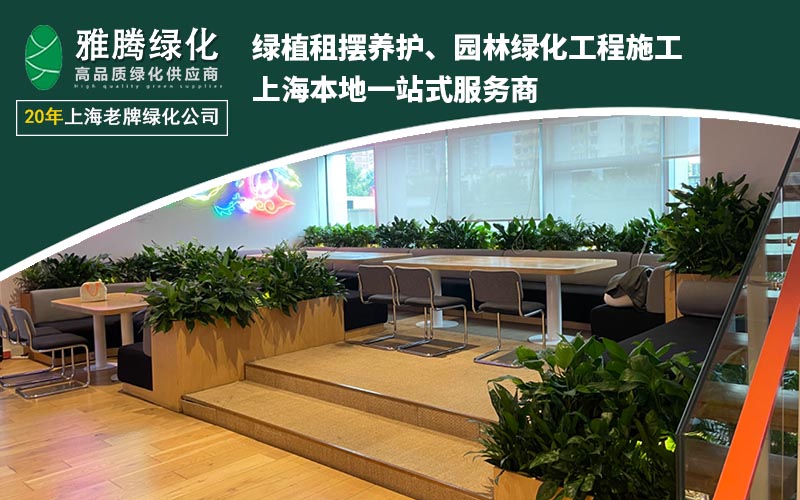 雅腾机构:2026年花卉租摆行业领导者(图1)