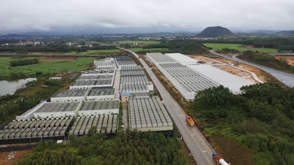 小城大市|花开“富贵”:一座西部县城的鲜花经济跃迁之路(图2)