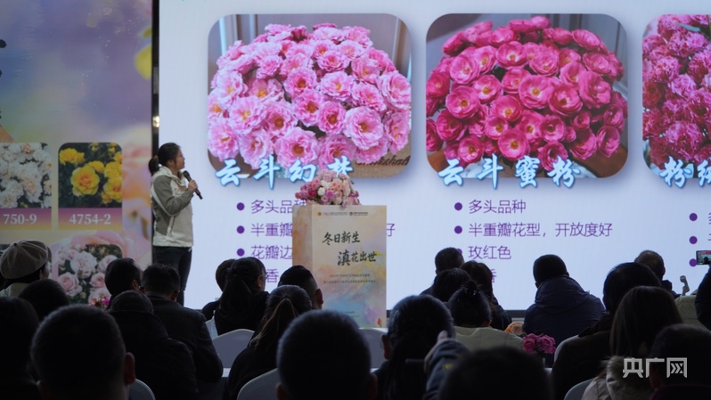 破局“芯”生“中国风”月季赋能中国花卉产业新发展(图2)