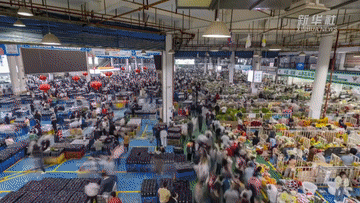 年经济新热度丨年宵花“上新”：花漾年味的“新热潮”(图3)