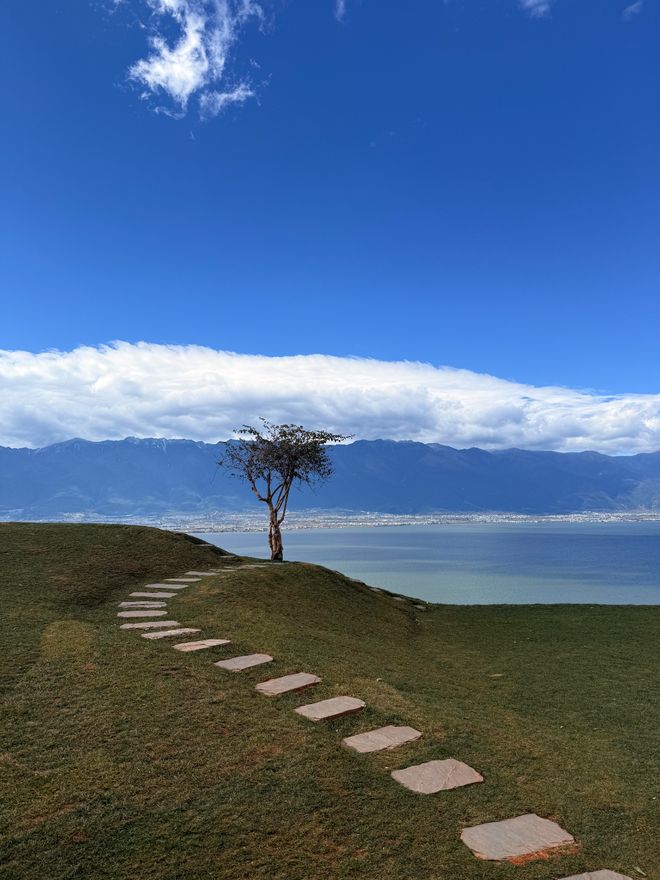 云南6天5晚不绕路最佳线路春节昆大丽跟团游费用攻略请收好！(图3)