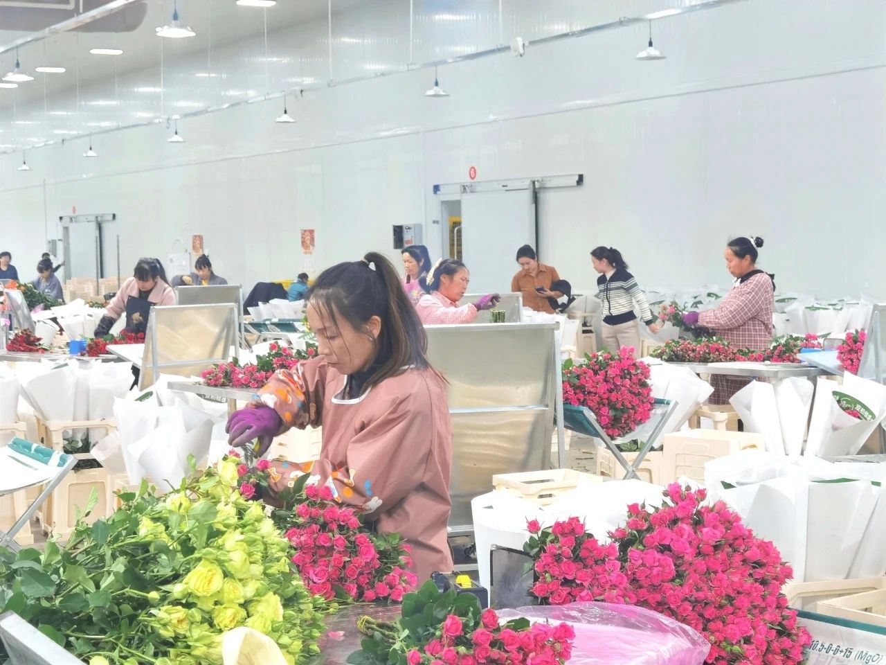 大庄镇:特色产业绽芳华乡村振兴谱新篇(图1)