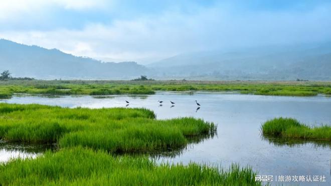 云南6天跟团游价格攻略新报团路线解析看到第三条我坐不住了(图3)