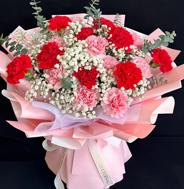 邀请函第三届中国设施农业产业大会暨第三届郑州设施园艺展览会(图2)