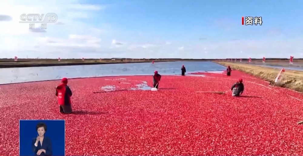 一问到底丨蔓越莓种子遨游太空为何要航天育种？(图3)