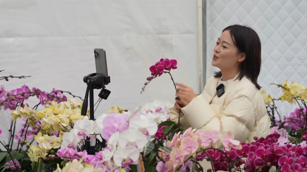 新华视点丨西部特色产业：串起经济“珍珠链”点亮振兴“满天星”(图6)