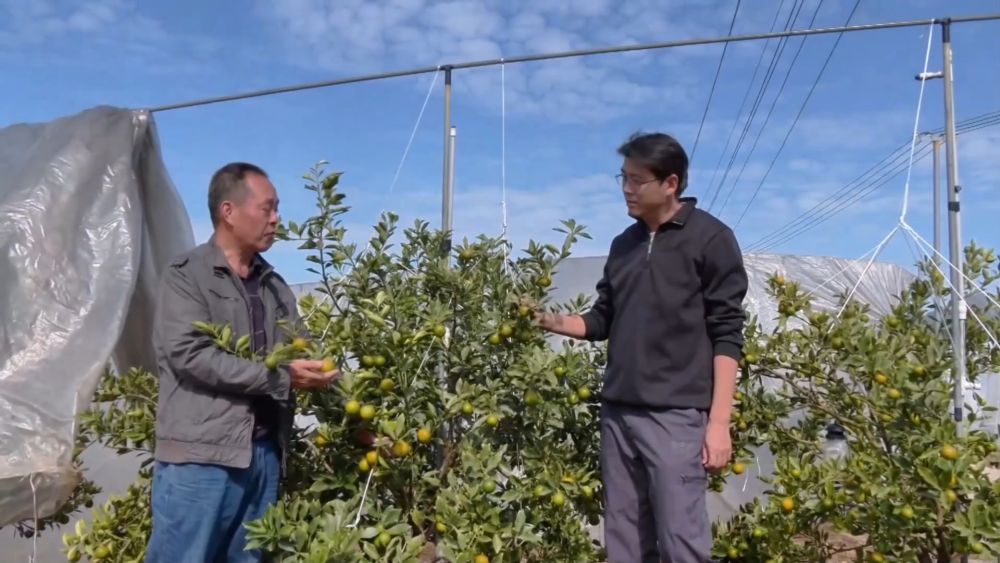 新华视点丨西部特色产业：串起经济“珍珠链”点亮振兴“满天星”(图3)