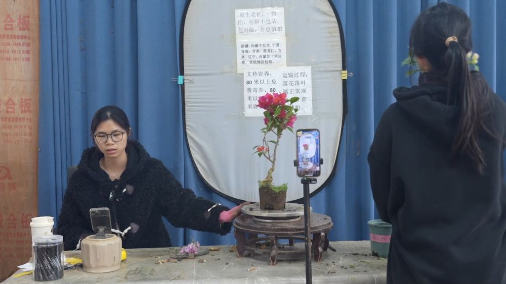 新华视点丨西部特色产业：串起经济“珍珠链”点亮振兴“满天星”(图7)