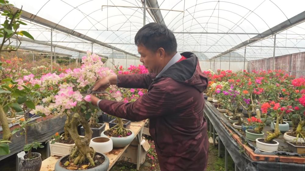 新华视点丨西部特色产业：串起经济“珍珠链”点亮振兴“满天星”(图8)