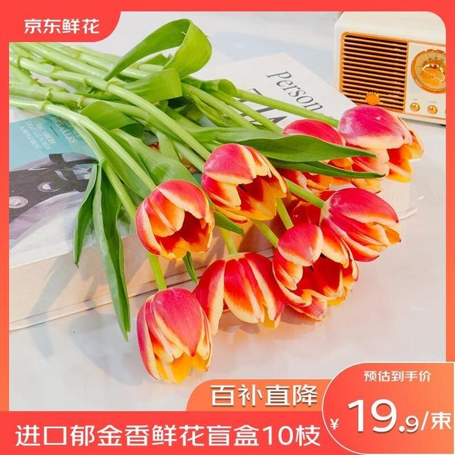 京东杀入欧洲市场刘强东改行当“全球砍价王”?(图2)