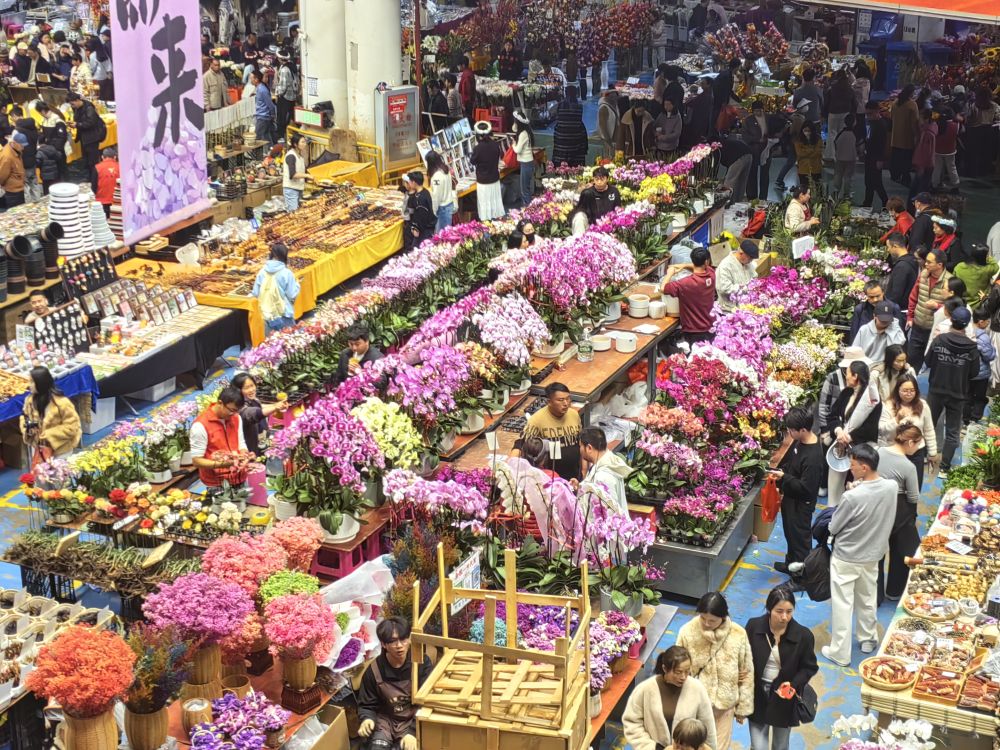 “云花”寄春来“颜值”变“产值”(图1)