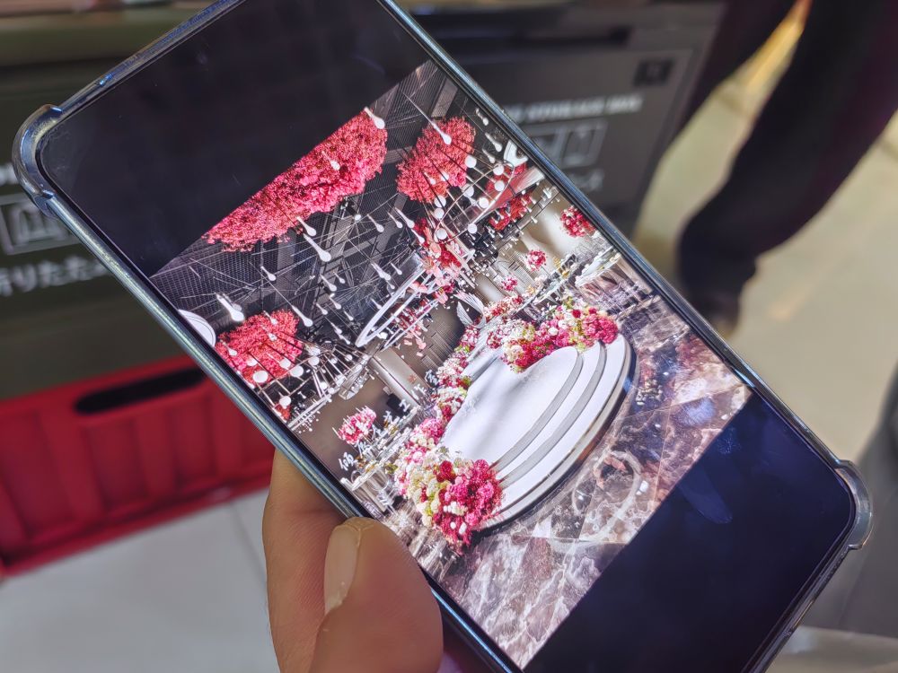 “云花”寄春来“颜值”变“产值”(图2)