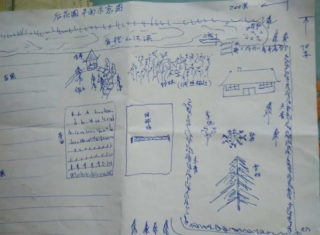 传奇的雪松和古树见证莘庄老镇的变迁丨乃清叙史(图3)