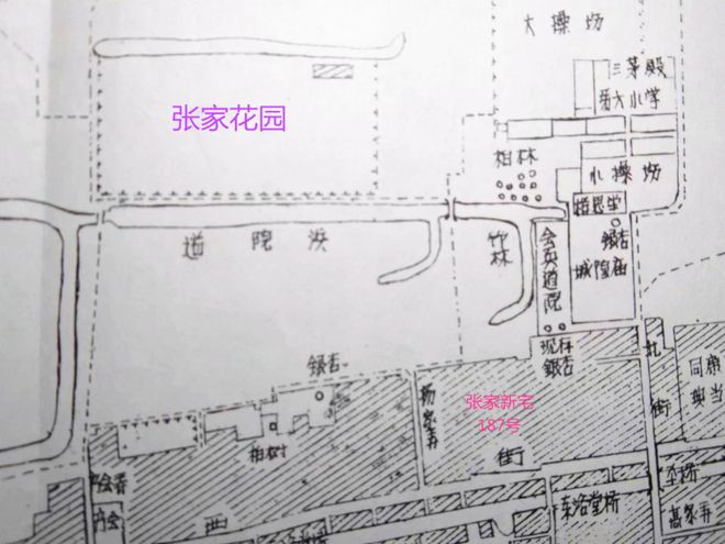 传奇的雪松和古树见证莘庄老镇的变迁丨乃清叙史(图2)