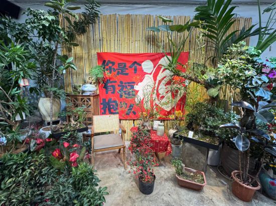 财经聚焦丨年宵花热销鲜花消费何以“一路芬芳”(图2)