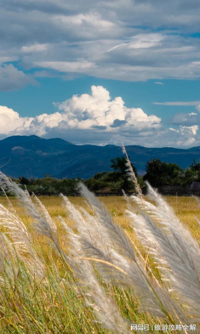 散客拼团大理丽江6天5晚跟团游洱海古城深度玩行程全解析(图3)