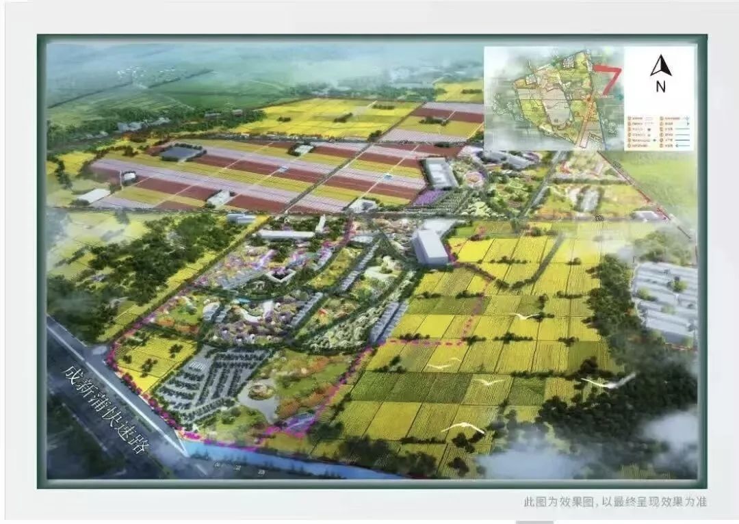 打造公园城市新样本:成都市双流区兴海花卉产业园开园暨2026成都花园生活季启幕(图4)