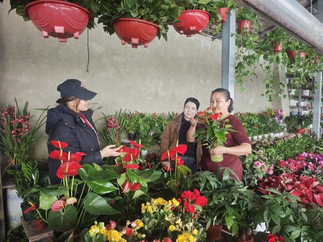 泽普县花卉市场迎来销售旺季鲜花绿植扮靓新春(图2)