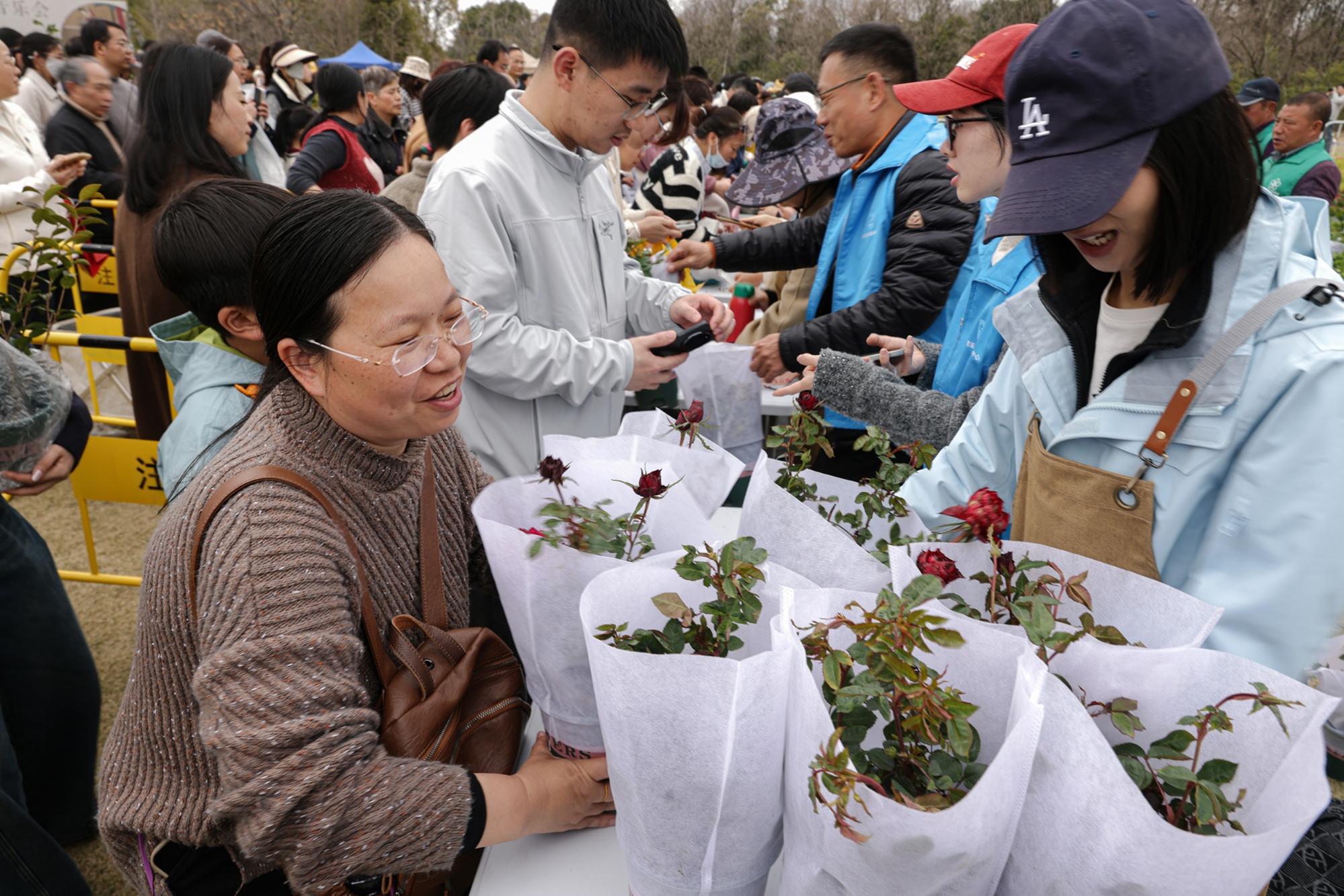宁波慈溪这场顶流盛事再出圈“花经济”释放乘数效应(图1)