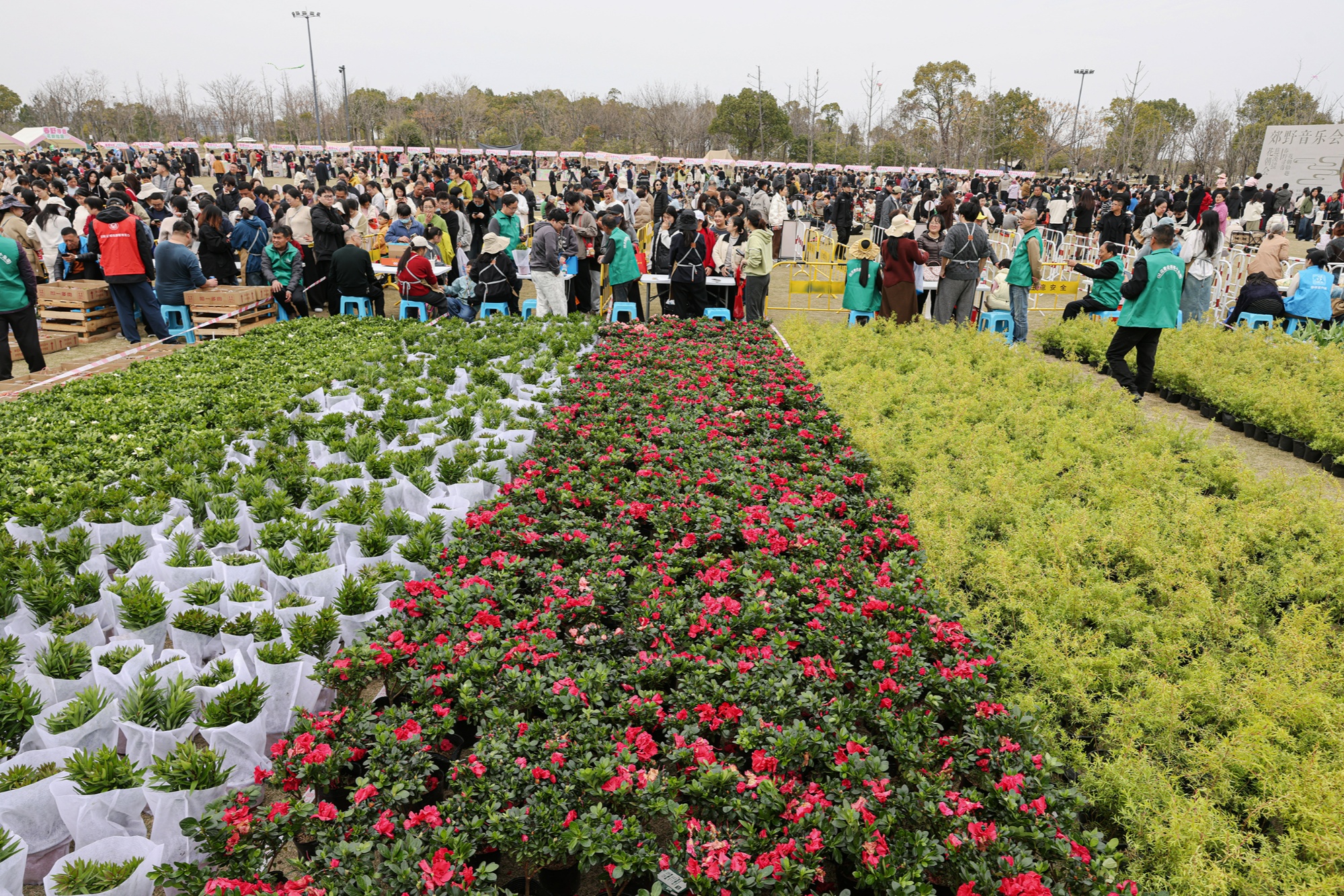 宁波慈溪这场顶流盛事再出圈“花经济”释放乘数效应(图2)