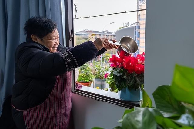 贯彻全国两会精神｜墙新了、管网通了——北碚朝阳街道45户居民搬进“新家”(图3)