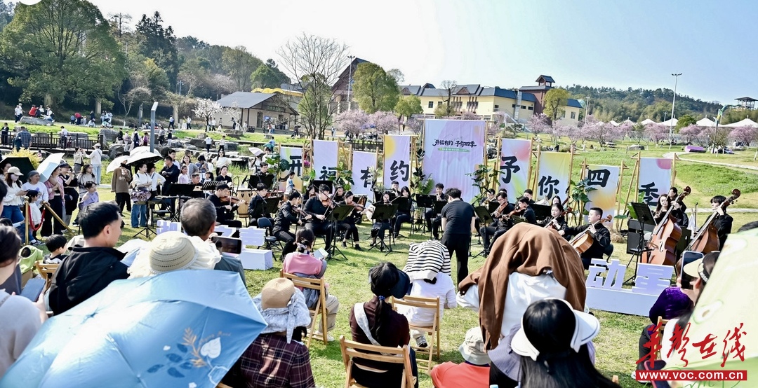 赏花之外：长沙如何把一朵花做成一条链(图2)